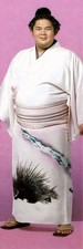 GIANT 2’X6’ VINYL BANNER - URA KAZUKI picture