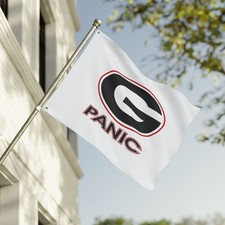 Widespread Panic WSP Flag | Double Sided Outdoor Banner picture