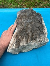 Texas Petrified Wood 19x9x3 Large Detailed Log Tree Bark Piece Natural Aquascape picture