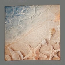 🌞 Paper Napkins Sea Beach Shells 5 Ct Multi Color  picture