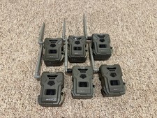 Lot of 6 Spypoint cameras.  3 Flex M and 3 G36.   picture