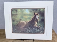 Vintage Bonnie Marris Mom's Shadow Equestrian Art Print Signed Foal Colt - Mint picture