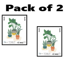 2 pack 16x20 Basic Black Poster Frame picture