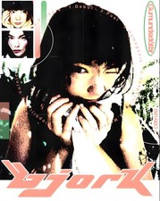 11x14 Bjork Poster Vintage Homogenic picture