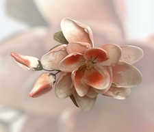 Magnolia Crafted From Seashells Coastal Keepsake Folk Art Mid-century Vintage picture