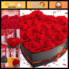 16-Piece Preserved Rose Gift Set for Women - Perfect Birthday & Anniversary Gift picture