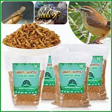 Lot Bulk 5‑44LB Dried Black Soldier Fly Larvae High‑Protein Chicken Bird Treats picture