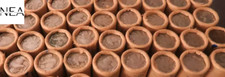 (1) SEALED BUFFALO NICKEL HALF ROLL ~ FEDERAL RESERVE BANK DENVER picture