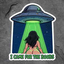 Pinup Girl UFO Abduction Sticker Vinyl Decal I Came for the Boobs Funny picture