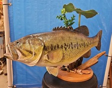 Giant 3D 28” Largemouth Bass 14lb Replicia Mount  Driftwood Pedistal 360 Painted picture