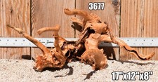 SPIDERWOOD DRIFTWOOD #3677 Aquarium décor centerpiece WYSIWYG picture