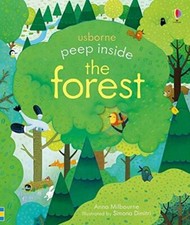 Peep Inside The Forest picture