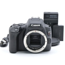 Canon EOS Kiss X10 Body (Shutter Count 1000 or less) [Top Mint] US Stock picture