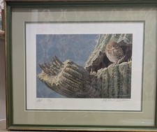 Robert Bateman Young Elf Owl Old Saguaro Signed Art Print AP 52/56 Framed picture
