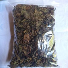Dried (Red) Jatropha Curcas Leaves Herbs Ratanjot Laljari Yatilung Jadi Raw Sale picture