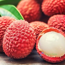 5 Seeds Lychee Litchi Chinensis Juicy Delicious Nutritious Guangdong Sweet Fruit picture