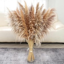Pasuvsigt 12Pcs 40 Inch Dried Pampas Grass Fluffy Stem Home Wedding Decor picture