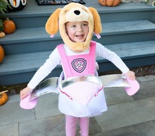 NEW Pottery Barn Kids PAW Patrol Skye Halloween Costume picture