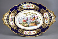 Antique English Fancy Birds Oval Dish, Coalport, Cobalt Blue, c. 1840-1850 picture