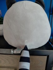 raccoon squishmallow Plushie picture