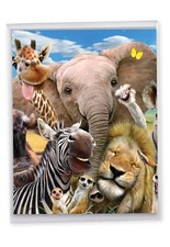 1 Funny Birthday Greeting Card w/Envelope - Here's Looking At Zoo NobleWorks picture
