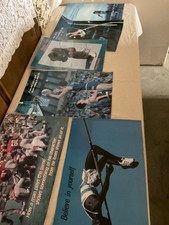 Vintage 1980s Argus Communications Sports Motivational Posters - LOT of 6 Poster picture