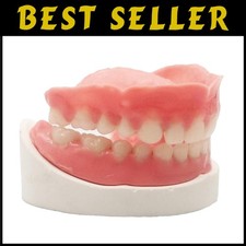 DIY Custom Denture Kit for Perfect Smile=^ picture