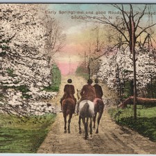 c1910s Southern Pines NC Horseback Riders Dogwood Postcard Sandhills Albertype picture