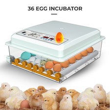 36Egg Incubators for Hatching Eggs with Automatic Egg Turning and Egg Candler picture