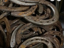 Used Steel Horseshoes Lot Of 40 picture