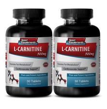Immune Support Allergy - L-Carnitine 510mg 2B - Carnitine 