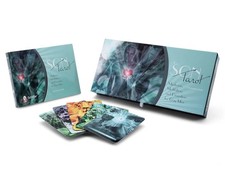 The Son Tarot: Mysticism, Meditation, and Divination for Gay Men New picture
