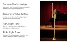 Flag Trumpet BB PITCH Shinning Brass With case super HARD CASE picture