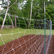 3280' x 4' Bio Grade Trellis Plant Support Mesh Netting Roll Vine Stems Protect picture