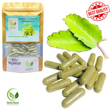 Organic Kalanchoe Pinnata Leaves Capsules (600mg) Bryophyllum pinnatum Natural picture