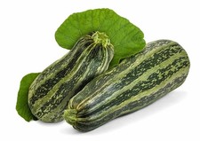 25 Cocozelle Zucchini Summer Squash Seeds, NON-GMO, Cocozella di Napoli, picture