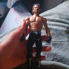 aj styles wwe action figure $14.00 picture