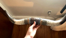 Longhorn Steer Horns Wall Mount Western Americana 22
