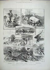 Old Antique Print 1883 Bechuana Matebele Transvaal Antelope Giraffe Horse 19th picture
