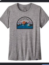 Patagonia Capilene Cool Daily Graphic Shirt Women's size Large Hiking Outdoors picture