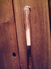 walking stick MOOSE ANTLER TINE handle VINE SPIRALED wood shaft HANDCRAFTED USA picture