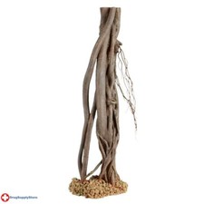 RA Mangrove Root - Medium picture
