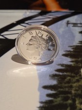 2005 NORFED Liberty $20 1 oz  Silver Type II Long Hair Lock  Turkey Day Pre-FBI picture
