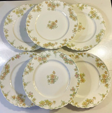 Lot of 9 Antique Haviland Limoges France 9.5” Dinner Plates The Countess Pattern picture