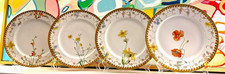 Fischer & Mieg / Pirkenhammer Antique Floral & Gold Dinner Plates - S/4 picture