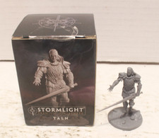 Dragonsteel Stormlight Premium Miniatures Taln Collectable Unpainted Figure picture