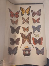 Vintage 1981 Smokey Bear Pretty Please Butterfly Poster USDA Forest Service picture
