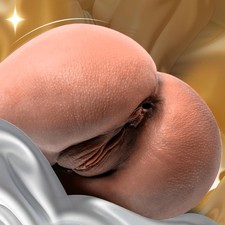 Pocket Sex  ASs Doll Male Masturbator Anal Vagina Sex toy Realistic Pussy 5.8lbs picture