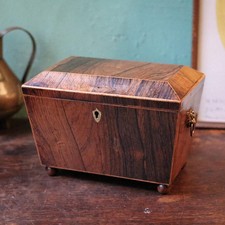 Antique Georgian Regency Rosewood Tea Caddy – C 1800 picture