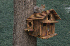 Extra Large Handmade Squirrel House - Outdoor Nesting Box for Backyard Wildlife picture
